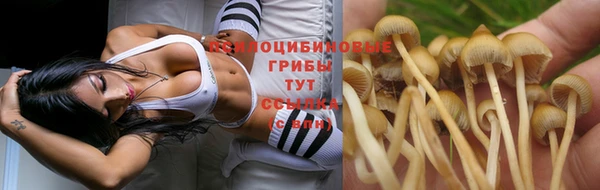 спайс Абаза