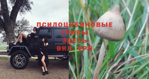 спайс Абаза