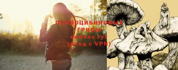 кокс Абдулино