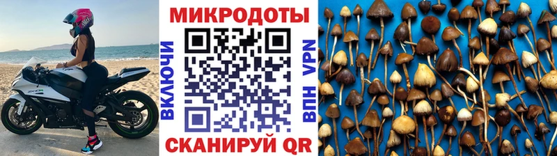 Псилоцибиновые грибы мухоморы  дарк нет формула  Фурманов 